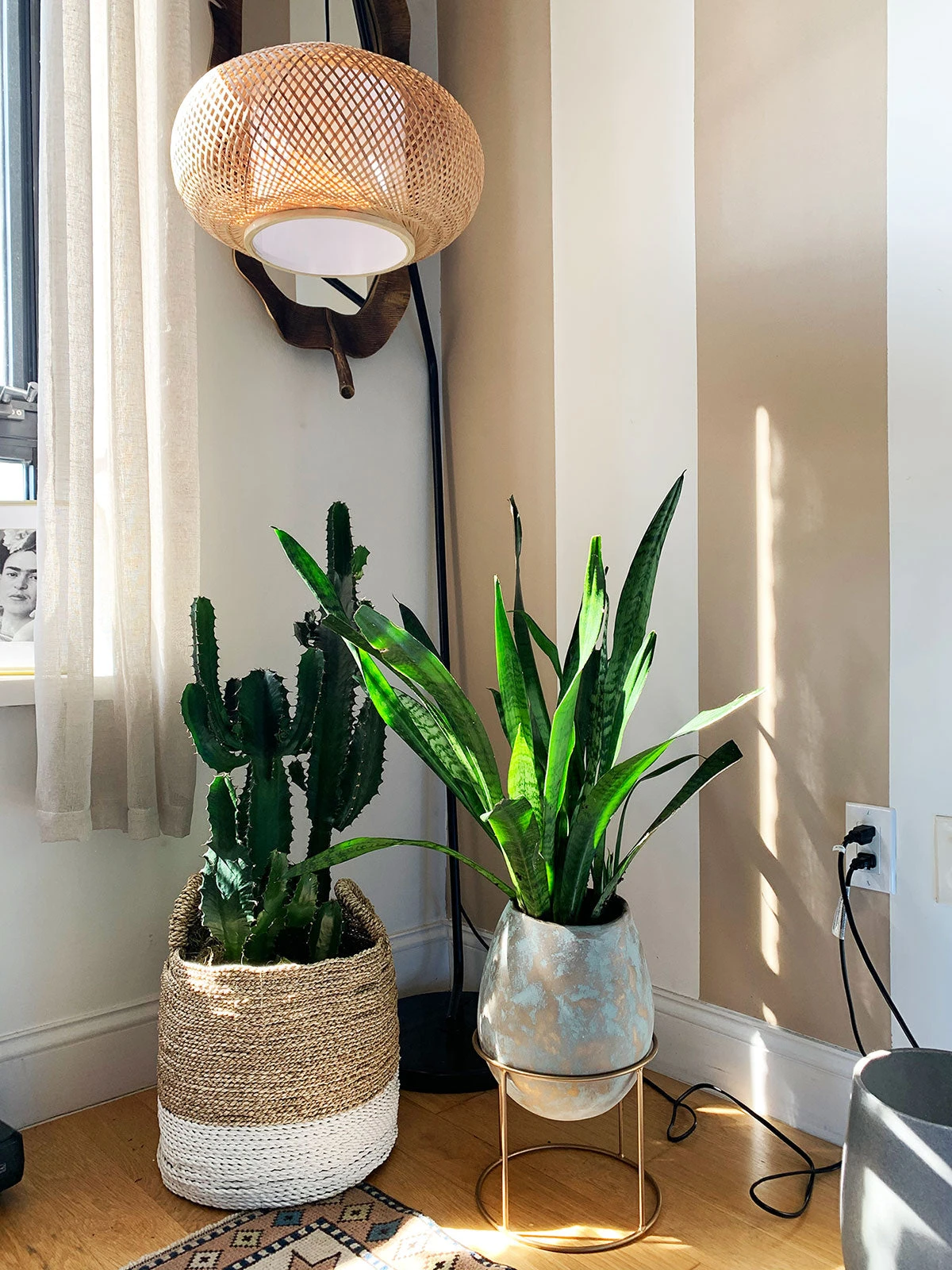 Surya Raveena Vase Planters 5 Surya Raveena Vase Planters