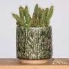 HomArt Cactus Planter Planters 1 HomArt Cactus Planter Planters