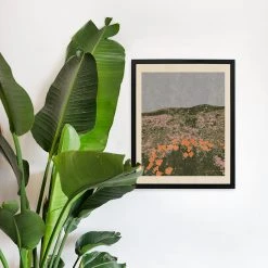 New California Poppies Art Print By Chloe Purpero Johnson