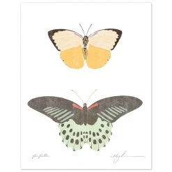 Kids Farfalle Art Print By Chloe Purpero Johnson