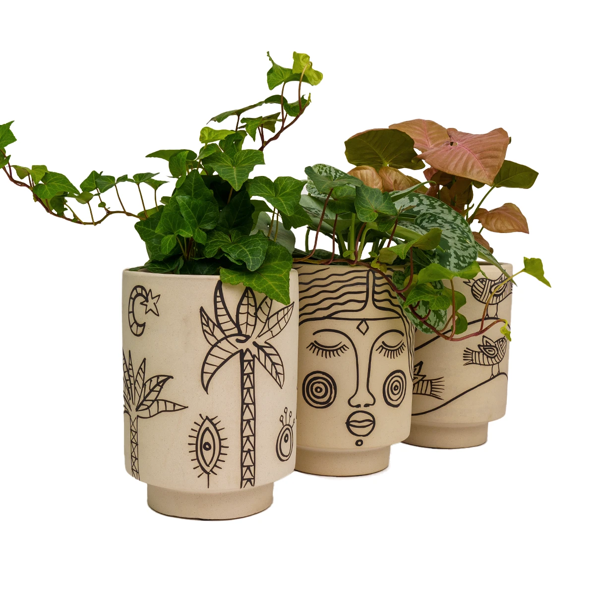 Jungalow® Cosmic Desert Kaya Pot By Justina Blakeney™ 5 Jungalow® Cosmic Desert Kaya Pot By Justina Blakeney™