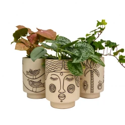 Jungalow® Planters Agatha Kaya Face Pot By Justina Blakeney™