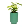 Jungalow® Planters Kelly Green Kaya Pot By Justina Blakeney™ 2 Jungalow® Planters Kelly Green Kaya Pot By Justina Blakeney™