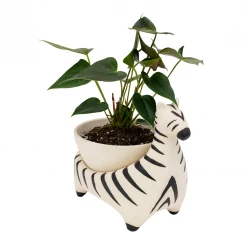 Jungalow® Zebra Savannah Garden Pot By Justina Blakeney™