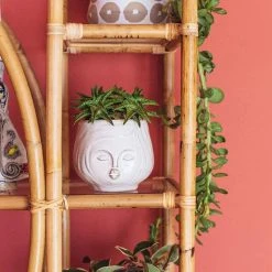 HomArt Pucker Up Planter Planters 9 HomArt Pucker Up Planter Planters