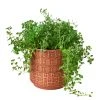 House Plant Dropship Diamond Planter 2 House Plant Dropship Diamond Planter