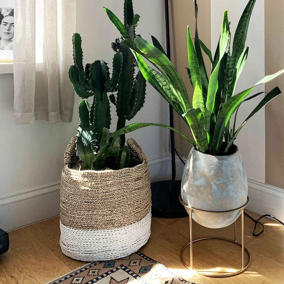 Surya Raveena Vase Planters 4 Surya Raveena Vase Planters