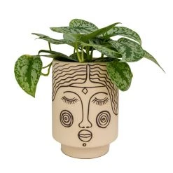 Jungalow® Planters Agatha Kaya Face Pot By Justina Blakeney™