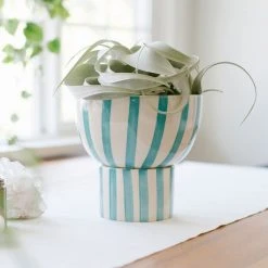 Jungalow® Kaya 2-Piece Ceramic Bowl Planter By Justina Blakeney™ Planters 25 Jungalow® Kaya 2-Piece Ceramic Bowl Planter By Justina Blakeney™ Planters