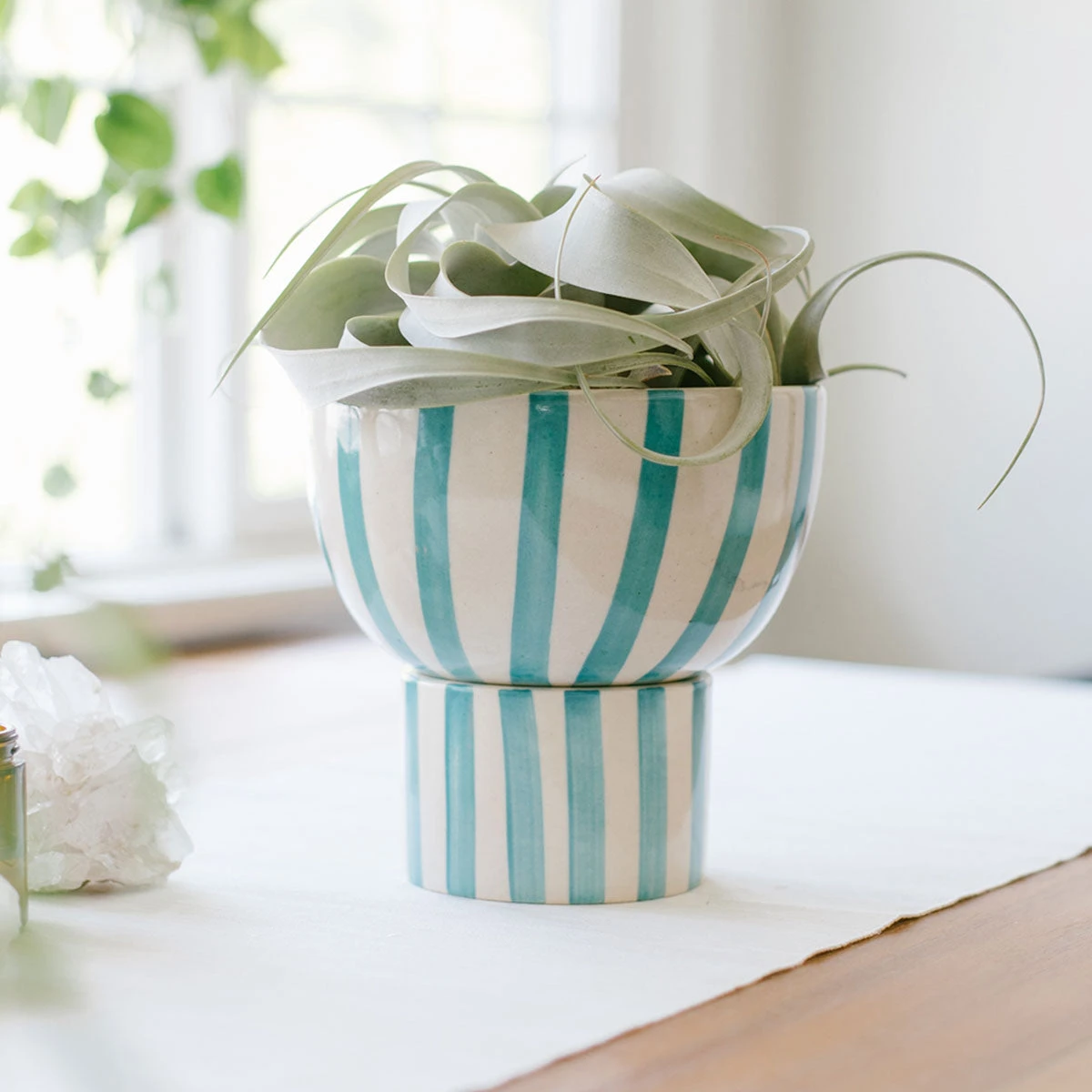 Jungalow® Kaya 2-Piece Ceramic Bowl Planter By Justina Blakeney™ Planters 11 Jungalow® Kaya 2-Piece Ceramic Bowl Planter By Justina Blakeney™ Planters