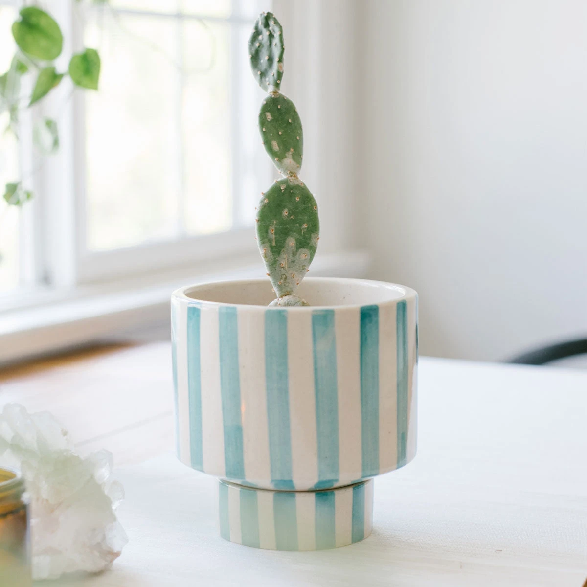 Jungalow® Kaya Shorty Ceramic Planter By Justina Blakeney™ 11 Jungalow® Kaya Shorty Ceramic Planter By Justina Blakeney™