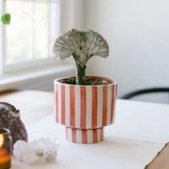 Jungalow® Kaya Shorty Ceramic Planter By Justina Blakeney™ 26 Jungalow® Kaya Shorty Ceramic Planter By Justina Blakeney™