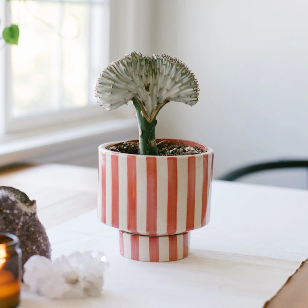 Jungalow® Kaya Shorty Ceramic Planter By Justina Blakeney™ 9 Jungalow® Kaya Shorty Ceramic Planter By Justina Blakeney™