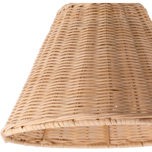 Surya All Lighting Rattan + Gold Sconce 5 Surya All Lighting Rattan + Gold Sconce