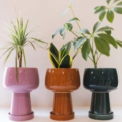 Jungalow® Kaya 3-Piece Ceramic Planter By Justina Blakeney™