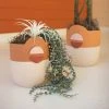 Kalalou Half Circle Planter Set Planters