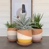 Kalalou Planters Color Dipped Planter Set 2 Kalalou Planters Color Dipped Planter Set