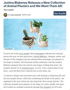 Jungalow® Zebra Savannah Garden Pot By Justina Blakeney™