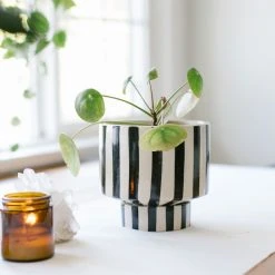 Jungalow® Kaya Shorty Ceramic Planter By Justina Blakeney™ 31 Jungalow® Kaya Shorty Ceramic Planter By Justina Blakeney™