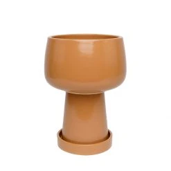 Jungalow® Kaya 3-Piece Ceramic Planter By Justina Blakeney™